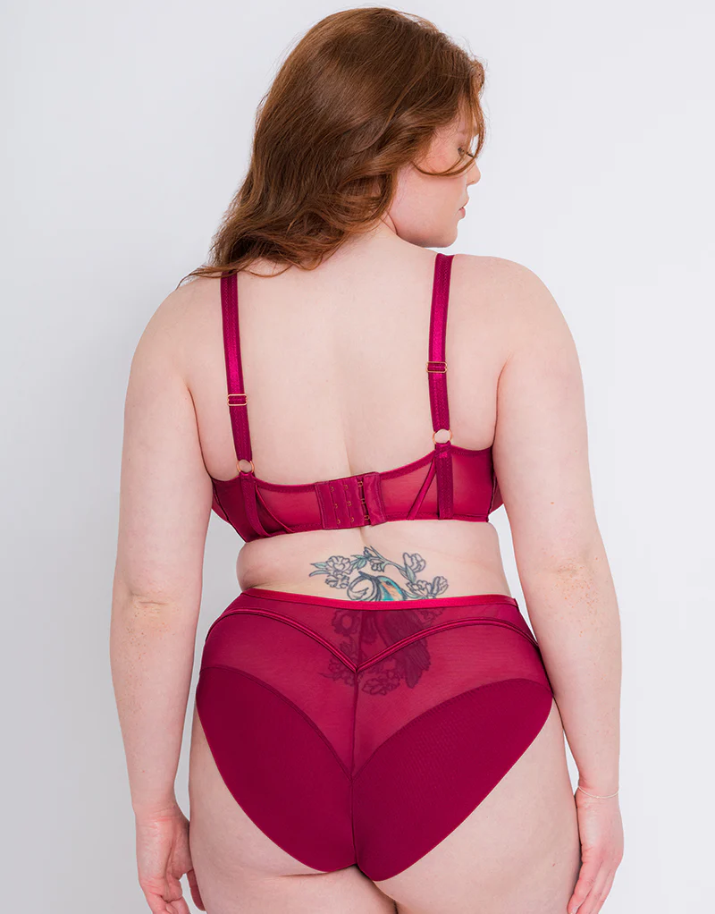 Scantilly Senses High Waist Brief Cherry - Image 4