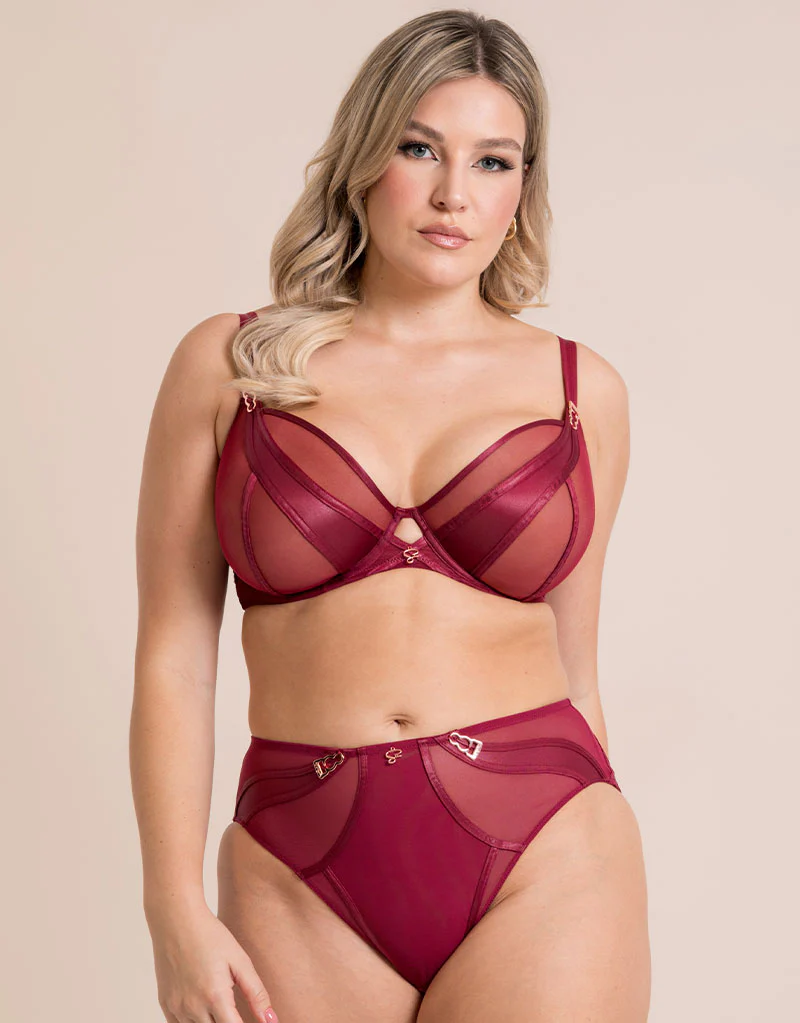 Scantilly Suspense High Waist Brief Sangria - Image 3