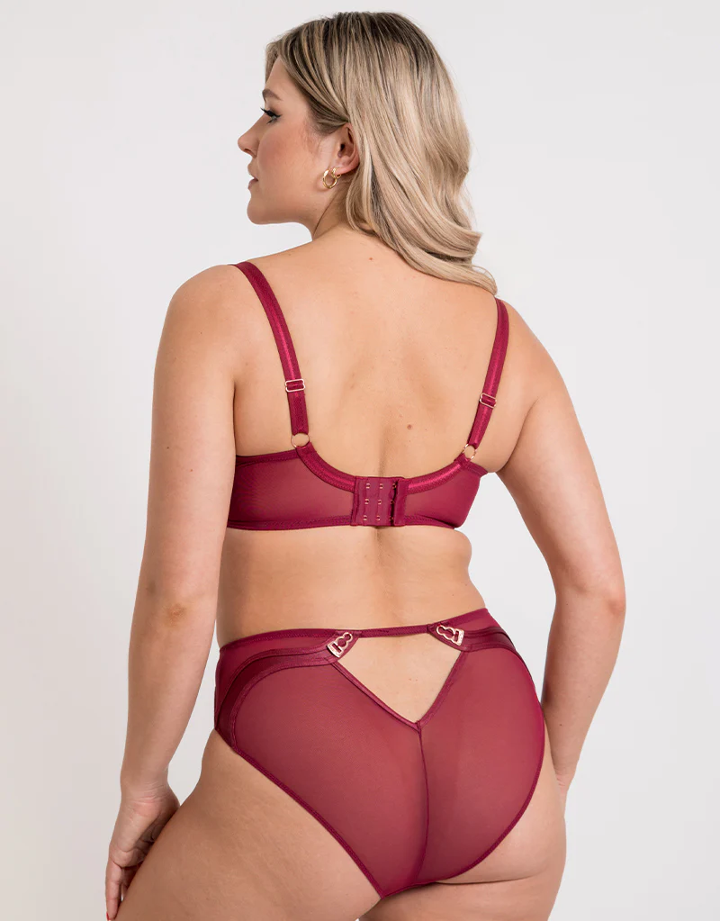 Scantilly Suspense High Waist Brief Sangria - Image 4