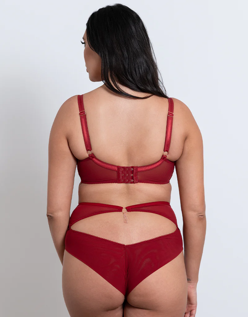 Scantilly Unchained Plunge Bra Deep Red - Image 7